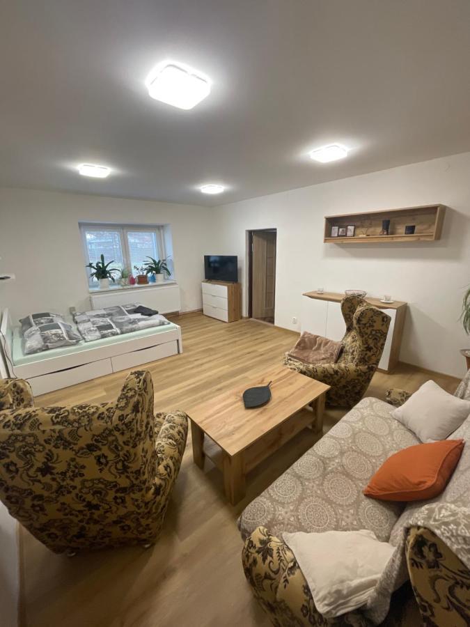 Apartmany Pod Chlumem Есеник Экстерьер фото